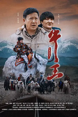 国产aⅴ片