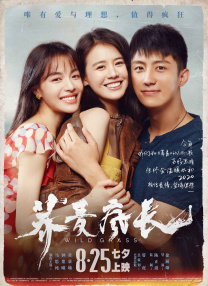 少爷受被粗汉h玩松了尿进去女攻