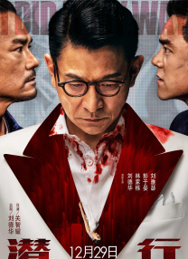 成人在线观看午夜